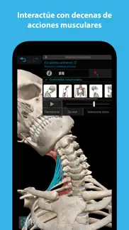 músculos & kinesiología iphone capturas de pantalla 3