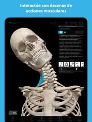 músculos & kinesiología ipad capturas de pantalla 3