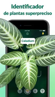 plantum - identificar plantas iphone capturas de pantalla 1