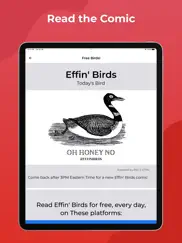 effin birds ipad images 2