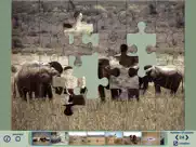 african wildlife puzzles ipad images 3