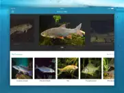 fishes pro - field guide iPad Captures Décran 1