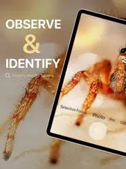 spiders identifier by photo id ipad resimleri 1