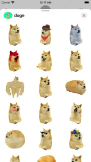 such doge iphone images 2