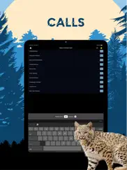 bobcat magnet - predator calls ipad images 3