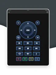 magic remote tv remote control iPad Captures Décran 1