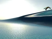 youriding - surf et bodyboard iPad Captures Décran 2