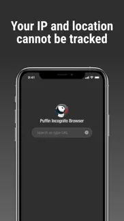 puffin incognito browser iPhone Captures Décran 2