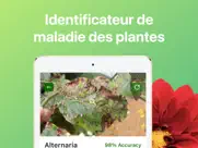 identification plante malade iPad Captures Décran 3