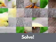 lovely bird puzzles ipad images 2