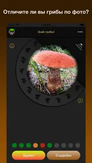 Знай лесные грибы! айфон картинки 1