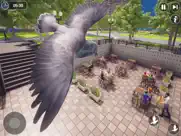 pigeon bird flying simulator ipad images 3