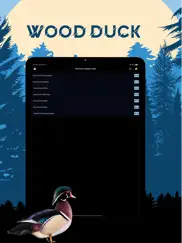 wood duck magnet - duck calls ipad images 1
