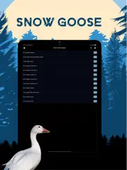 snow goose magnet- goose calls ipad images 1