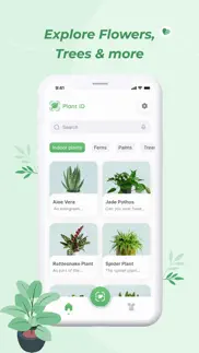 plantid - plant identifier iphone images 2