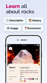 rock id - stone identifier iphone bildschirmfoto 2