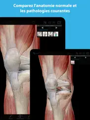 muscles & kinésiologie iPad Captures Décran 2
