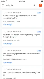 Google Analytics iphone bilder 2