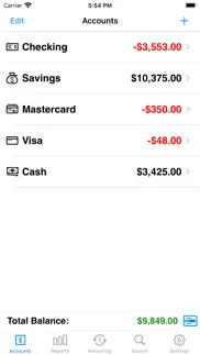 accounts 3 lite - checkbook iphone images 1