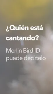 merlin bird id por cornell lab iphone capturas de pantalla 1