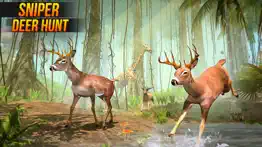 deer hunter hunting - clash 3d iphone images 1
