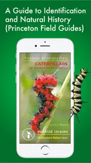 caterpillar id usa east coast iPhone Captures Décran 1