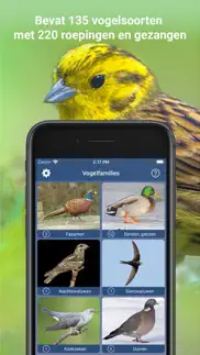 vogelzang id nederland iphone images 4