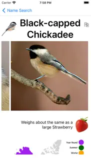 bird field guide for kids iphone images 3