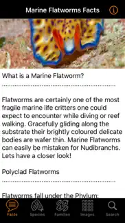 marine flatworms id iphone images 2