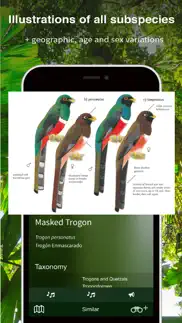 all birds ecuador field guide iphone bildschirmfoto 3