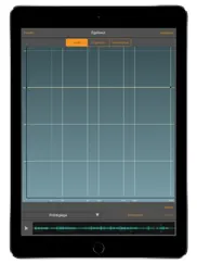 wavepad professionnel iPad Captures Décran 2