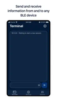 blueterminal iphone capturas de pantalla 1