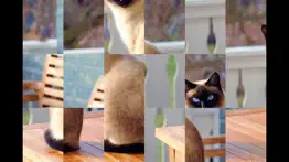 adorable cat puzzles iphone images 1