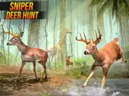 deer hunter hunting - clash 3d ipad images 1