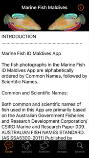 marine fish maldives iphone images 2