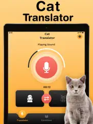 cat translator ipad images 1