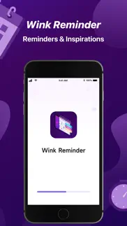 wink reminder iphone resimleri 1