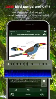 all birds ecuador field guide iphone images 4