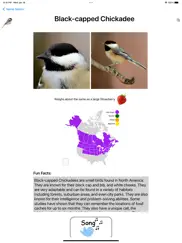 bird field guide for kids ipad images 3