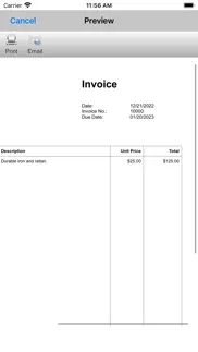 express invoice professional iphone images 3