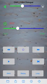 mocha replay - repeat player iphone images 1
