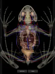 3d frog anatomy ipad bildschirmfoto 2