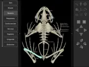 3d frog anatomy ipad bildschirmfoto 3