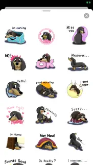 cute dachshund dog stickers iphone images 2