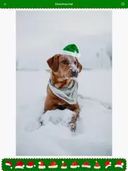 christmas hat - nice picture ipad images 2