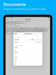 terminal emulator iPad Captures Décran 1