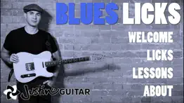 blues licks iphone images 1