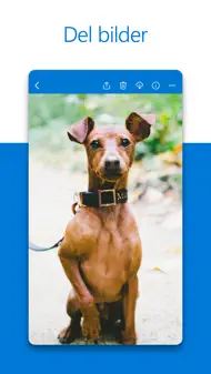 Microsoft OneDrive iphone bilder 2