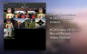 h.265 - h.264 cross converter iphone resimleri 1