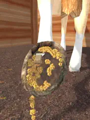 horse shoeing 3d ipad images 4